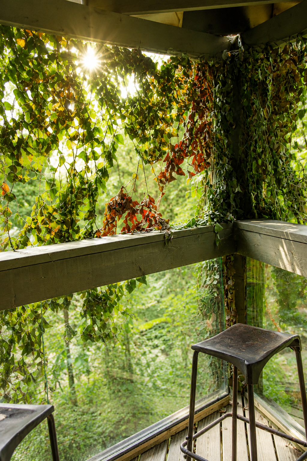 The Treehouse In The Woods